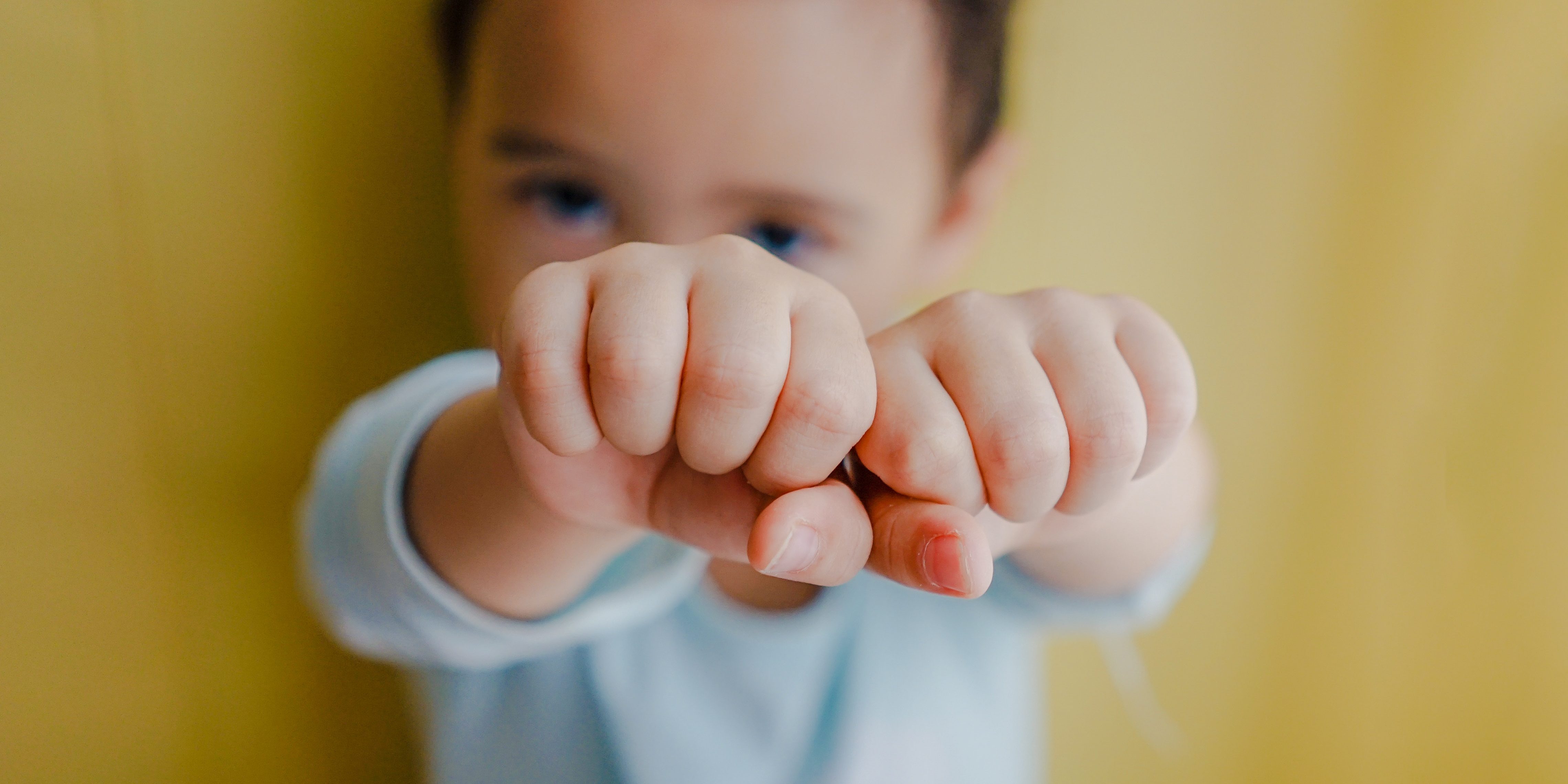 bady-qb-979274-unsplash